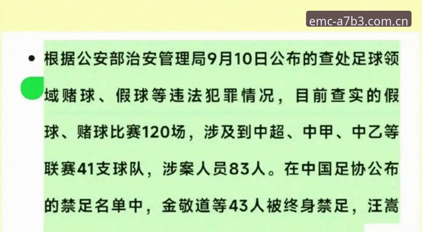 中国足协公布第三批禁足名单，行业整顿揭示深层问题